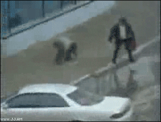 crime fail GIF