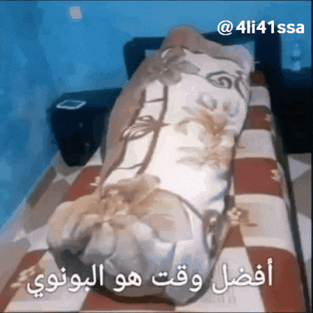 4Li41Ssa GIF