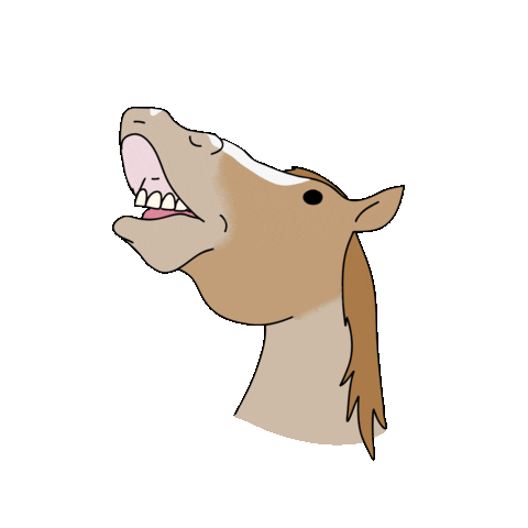 Archie Smile Sticker by Happy Horsemanship TV