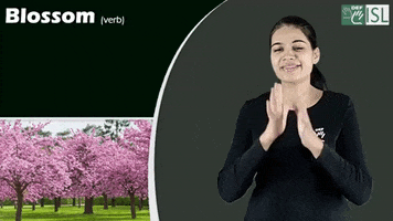 Sign Language Blossom GIF by ISL Connect