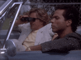 Lebowski GIF
