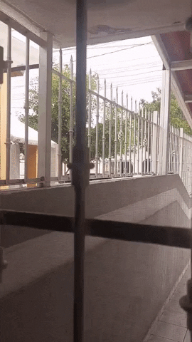 Writerswindow GIF
