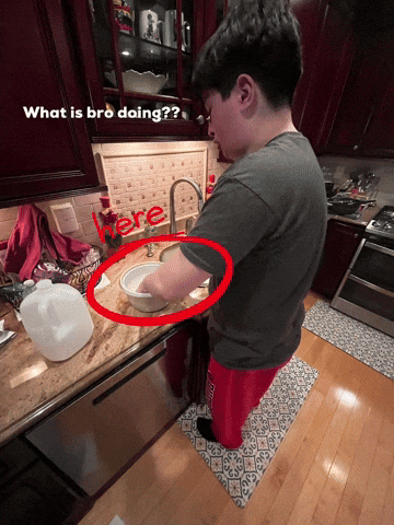 What Is Bro Doing GIF