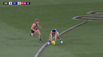 round 15 afl GIF by Adelaide Crows