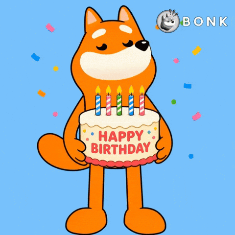 Birthday Celebrate GIF by BONK
