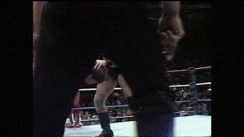 Wwf GIF