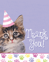 Thank You Cat GIFs - Find & Share on GIPHY