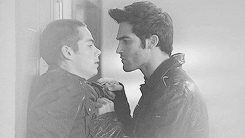 sterek