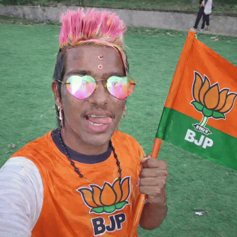 Rahul Gandhi India GIF