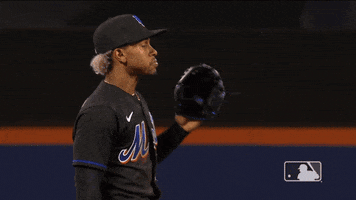 Ny Mets Clap GIF by New York Mets