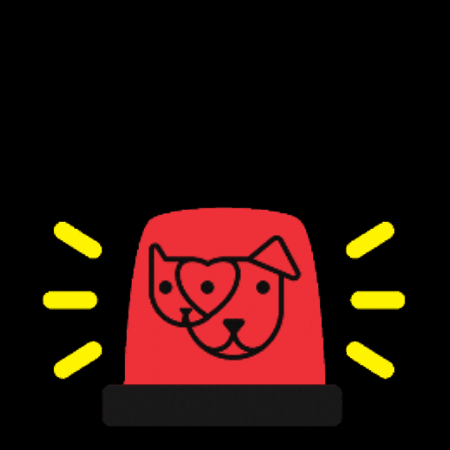 Siren Mhs GIF by maui humane society