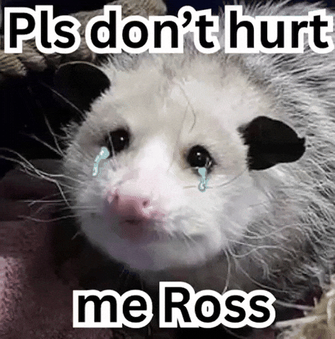 Charles Ross Possum GIF