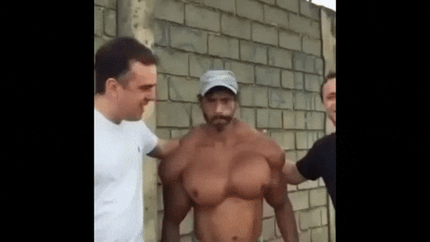 giphy.gif