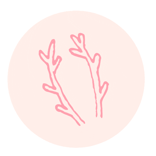 Pink Antlers Sticker