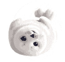 Funny Seal Sticker by Bravo Supermarket