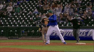 Anthony Rizzo Cubs GIF by Marquee Sports Network