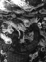 200.gif?cid=fc005b0891fcb187ab4bd11c94c69f8509c1a225055d45ed&rid=200.gif&ct=g