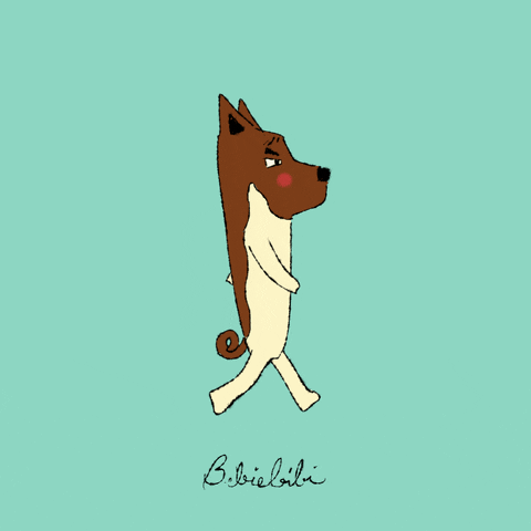 Dog GIF