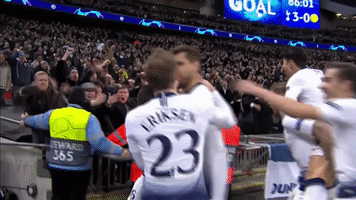 football come on you spurs GIF by Tottenham Hotspur