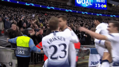 Football Come On You Spurs GIF by Tottenham Hotspur - Find ...