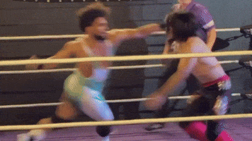 Wrestling Onyx GIF