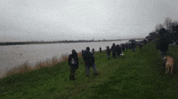 '5-Star' Tidal Bore Attracts Crowds to Severn Estuary