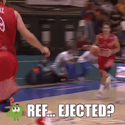 referee whistle GIF by Basketball Champions League