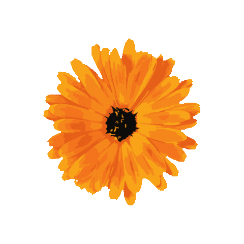 Flower Sticker by Livia Farkas @ urban:eve