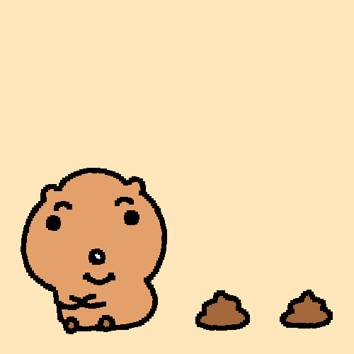 Quokka GIF