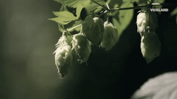 200.gif?cid=fc005b084980c7beb2574429393a23865e2f241b9eb160a9&rid=200.gif&ct=g