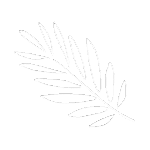 Tape Flores Sticker by Pinki