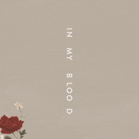 in my blood GIF by Shawn Mendes