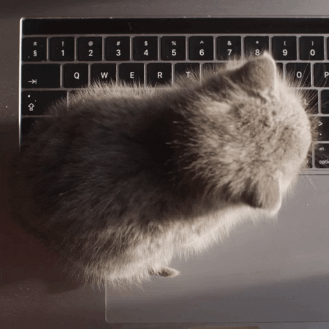 Working Days Of The Week GIF by Sealed With A GIF