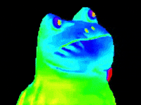 Pepe The Frog Gif - IceGif