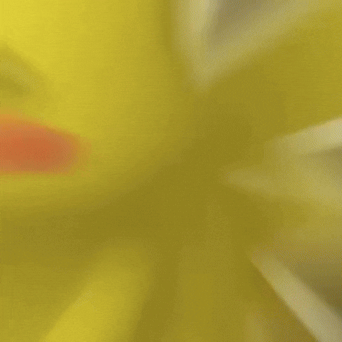 Ash Ketchum Pokemon GIF by Respective