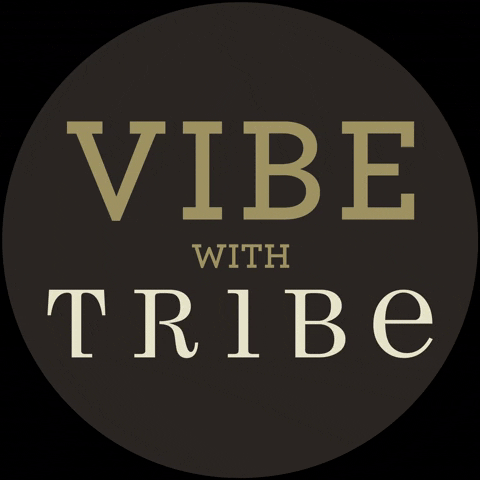 Vibe Tribe GIF by TribebyAmrapali