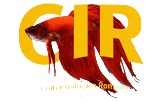 Cir Sticker by Card Roma Club