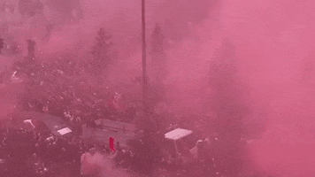 Champions League Fans GIF by Storyful