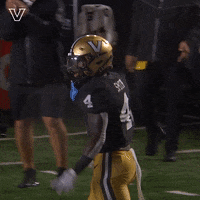 Celebrate College Football GIF by Vanderbilt Athletics