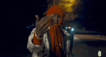 Hip Hop Middle Finger GIF by $NOT