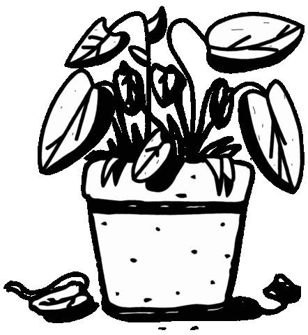 House Plant Sticker