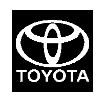 TOYOTA RUSSIA Sticker