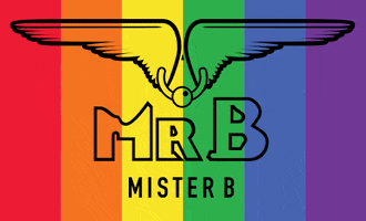 MisterBamsterdam rainbow gay lgbt mister GIF