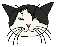 Cat Sticker