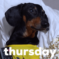 Sending Healing Vibes Gif, Tons of hilarious Thursday GIFs to
