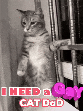 Gay GIF