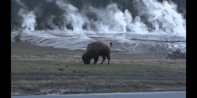 Hot Springs Water GIF by DIIMSA Stock