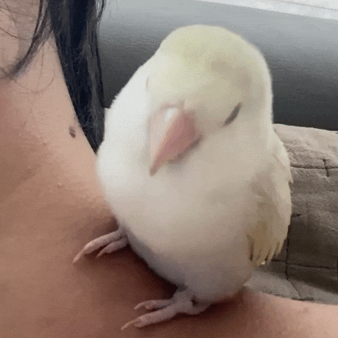 Bored GIF
