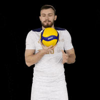 Sport Volleyball GIF by Projekt Warszawa