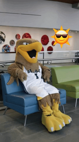 Summer Hammock GIF by Humber College